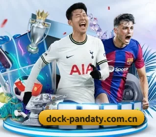 dock-pandaty.com.cn APP